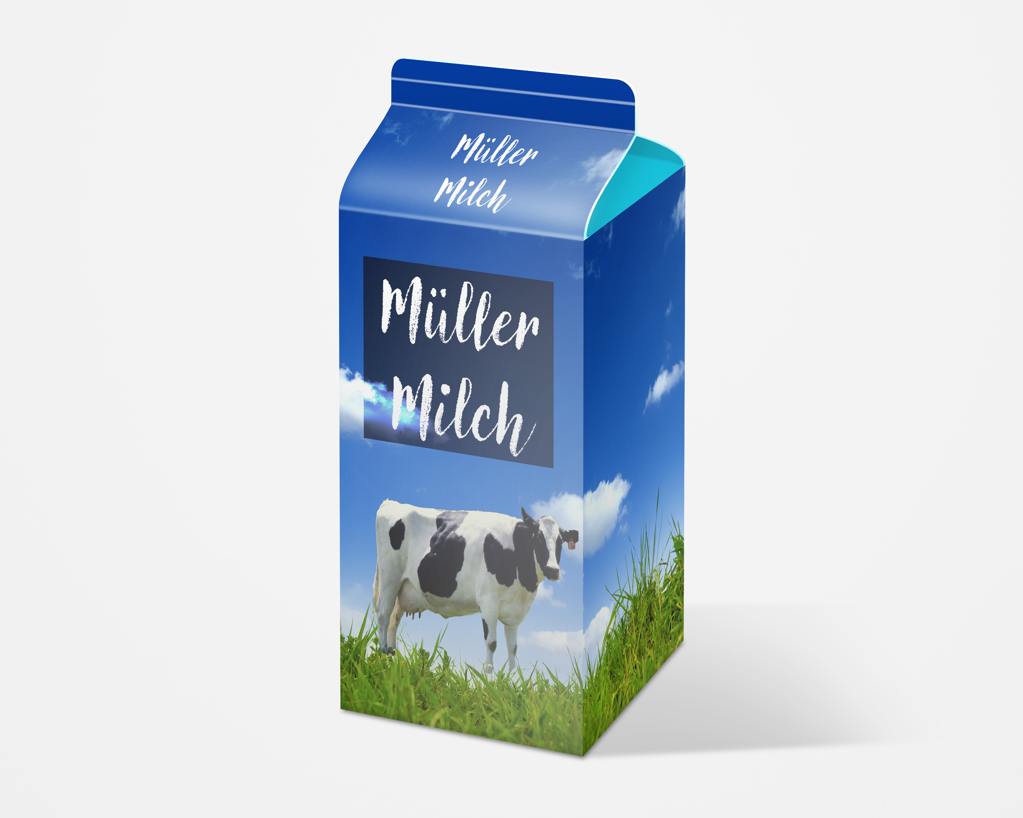 Bild des Ersten Projekts